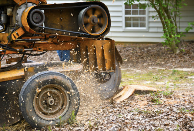 stump removal in new jersey