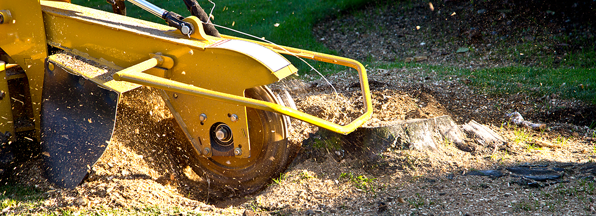 NJ Stump Removal